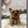 baxter1016